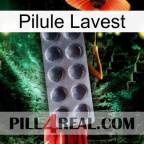 Lavest Pill 30
